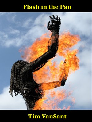 cover image of Flash in the Pan